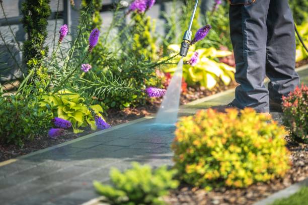 Best Restaurant Pressure Washing  in Leonville, LA