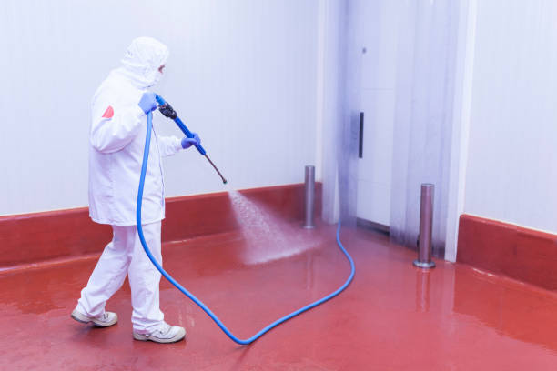 Spring Cleaning in Leonville, LA