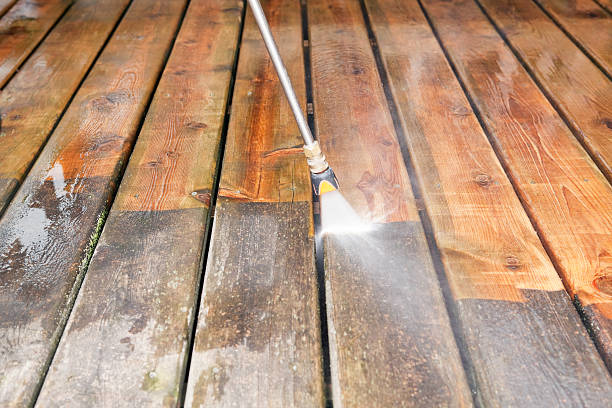 Professional Pressure Washing in Leonville, LA